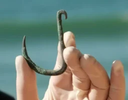 Anzol de 6.000 anos descoberto em Israel